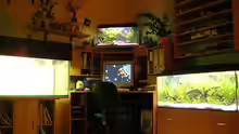 Mein PC-Aquarium Eck-links 230l ist noch nicht fertig