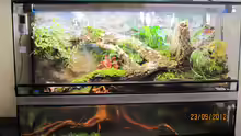 Paludarium