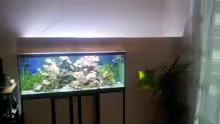 Technik im Aquarium 450l Meerwasser