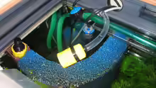 Technik im Aquarium Becken 2216