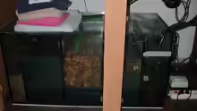 Technik im Aquarium Becken 256