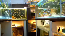 Technik im Aquarium Becken 412