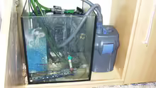 Technik im Aquarium Becken 53