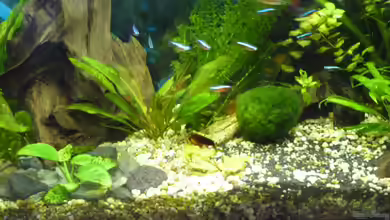 ++Neu++ von 19maxi96