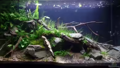 112l Tief im Dunkel von -serok-