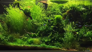 160x60x60 von Torsten Franke