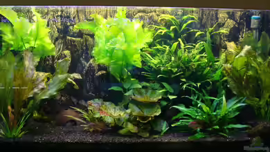 200er (abgebaut) von Christian Heitmann