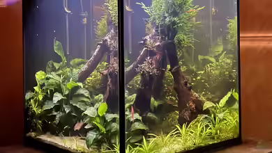 216er Cube von PeterK