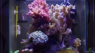 22,5 Liter Eigenbau Nano von starhopper