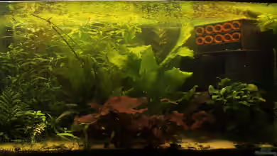 250l im Schlafzimmer von chrisi01