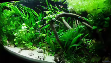 260l bunt (nicht mehr existent) von Denise83