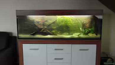 260L Rio Xingu von Tom G.