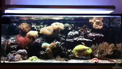 300 Liter von DaHeit1982