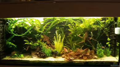 300l - aufgelöst von rasrol