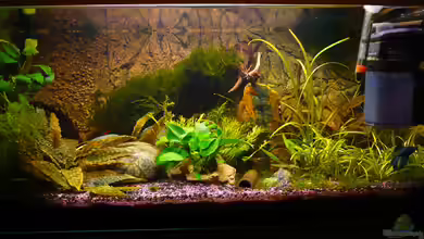 54 Liter von Aqualady