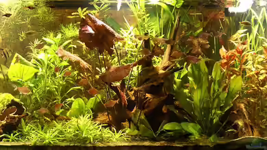 576_1 von Andreas Brandt