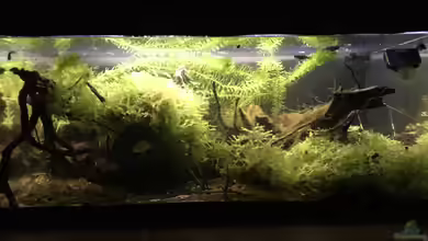 60ger Überraschungsei von NaMo