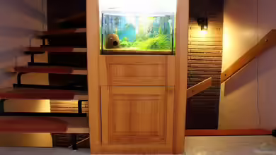 70er Red Bee-Vitrinen-Tank von Micha