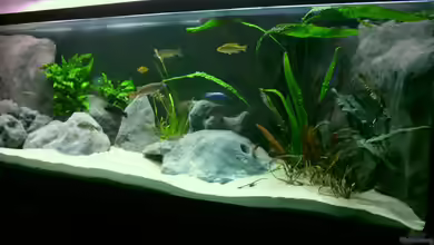 720 Räuberbecken von Marcus.H