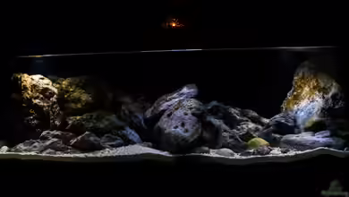 720L Malawitank von StevenS