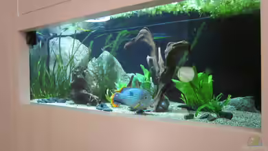 720Liter Südamerika von Holly