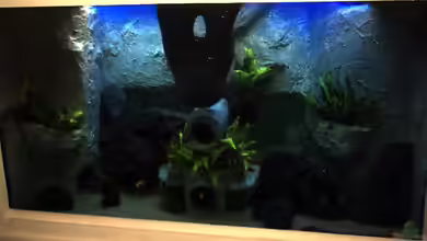 780 Liter Malawi nur noch als Beispiel von Michael Boeck