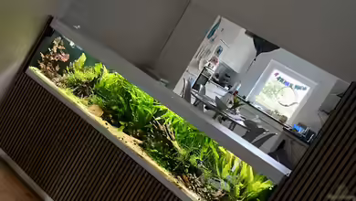 875 Liter Südamerika-Gesellschaft von Baron Zelle