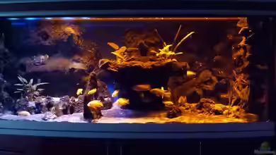 Abenteuerland von Couro