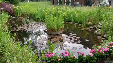 Acero Gartenteich von Acero