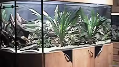 Altes Aquarium aus 2002 von Thomas Schindler