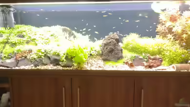 Am Berghang von C-NA