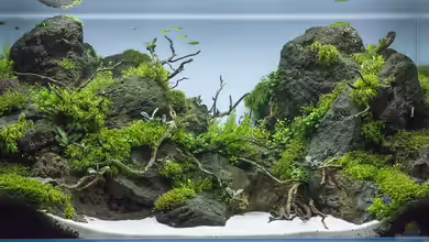 Am Ende des Flusses von Marcel Reiter