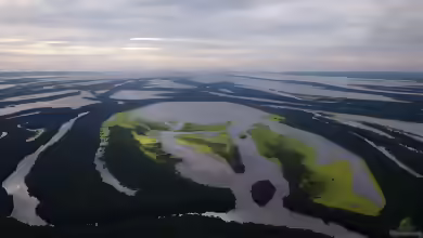 Amazonas-Aquarium: Ein naturnahes Südamerikabecken einrichten und besetzen