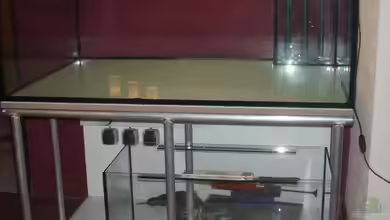 Amazonas Habitat von welspapa