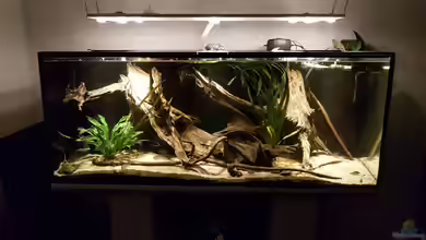 Amazonien 2.0 von naturalR