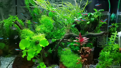 Angie und Roberts Unterwasserwelt von Angie777