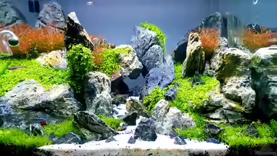 Another World von similis