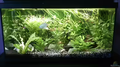 AQ meiner Frau von NonTakt