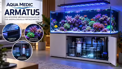 Aqua Medic Armatus - Hochwertige Meerwasseraquarien für anspruchsvolle Riffaquaristik