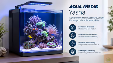 Aqua Medic Yasha – Kompaktes Meerwasseraquarium für anspruchsvolle Nano-Riffe