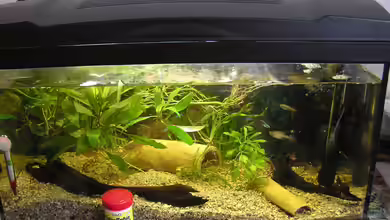 AquaKrio von Patrick Huber