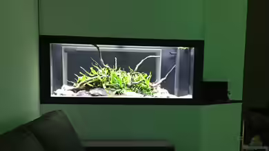 Aquarium Projekt von Der Schreiner