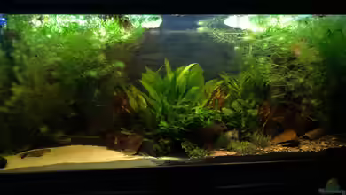 Aquatlantis Fusion 120x50 von Manu Trauti