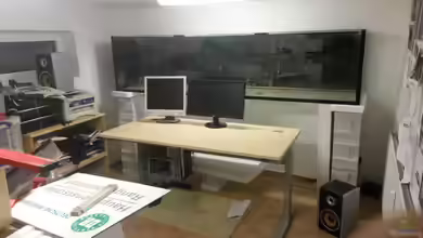 Arbeitszimmer - Crytocara moori von Beulenkopftyp