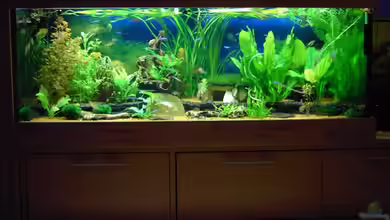 Aufgelöst von Torsten G.