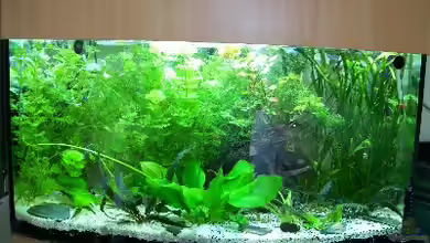 Aufzuchtbecken mit High-Power-LED´s von Aquaristik-sbk