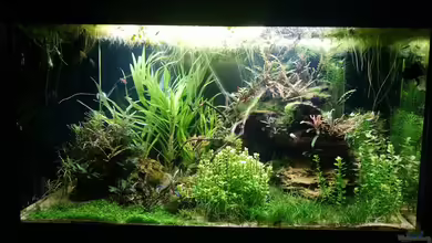 Aus 2 mach 1 von Wasserwelten