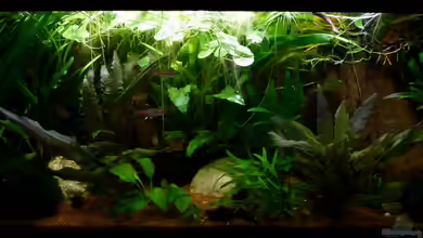 back~to~the~roots von ~Marco~