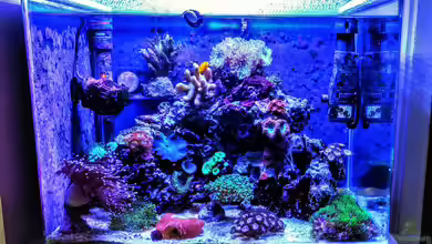 Bayreuther Nanoriff von basti_hp