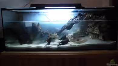 Becken #1 - Florian von Florian Abeln